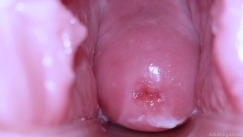 Cervical Display And Speculum Game