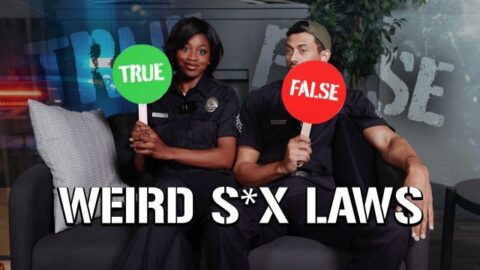 Digitalplayground - Porn Stars Play Real Or False With The Weird American Sex Laws